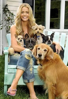 Denise_Richards Мировые знаменитости и их собаки 
